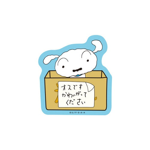キャラクターステッカー オスですかわいがってください KY1124